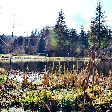 Alojamento de Turismo Selvagem Leśny Dwór *
