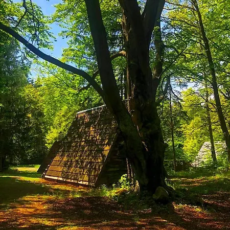 Leśny Dwór Alojamento de Turismo Selvagem Janowice Wielkie