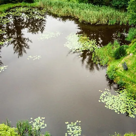 Leśny Dwór Alojamento de Turismo Selvagem