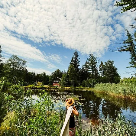 Lesny Dwor * Janowice Wielkie