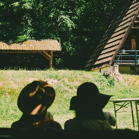 Leśny Dwór Alojamento de Turismo Selvagem *