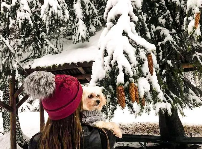 Lesny Dwor Janowice Wielkie