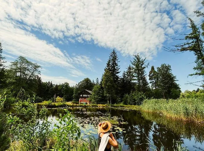 Lesny Dwor * Яновице-Вельке