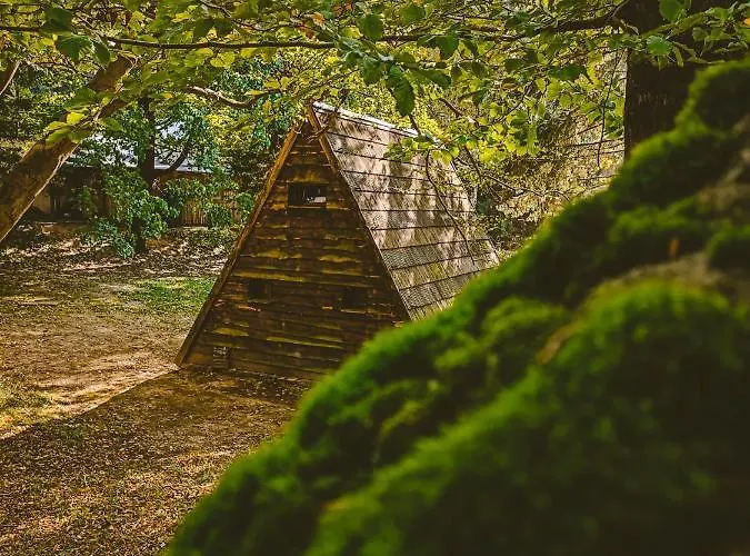 Lesny Dwor * Janowice Wielkie